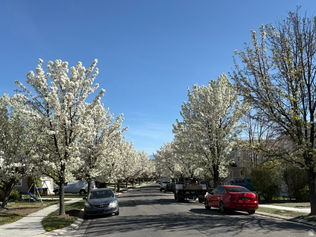 RUSH VALLEY - Residential