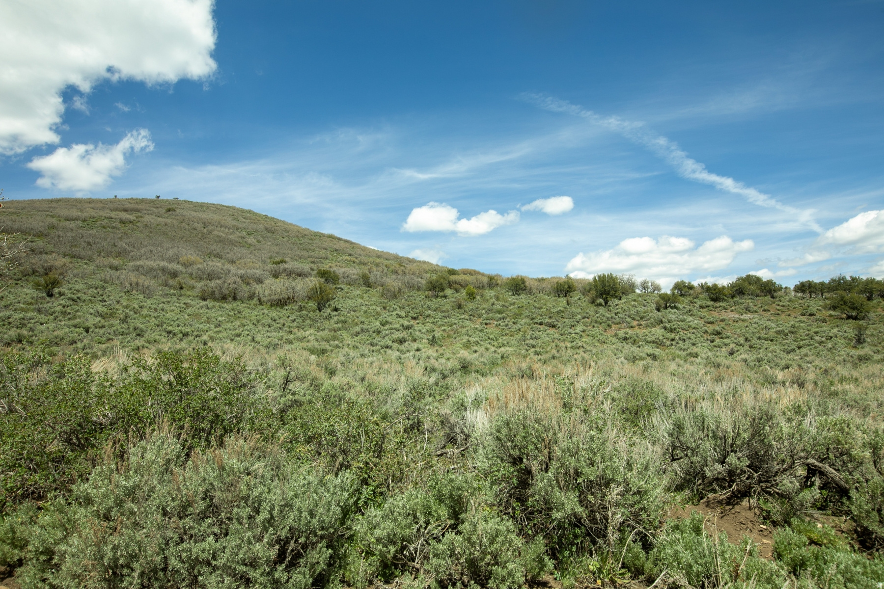 GARFF RANCHES - Land