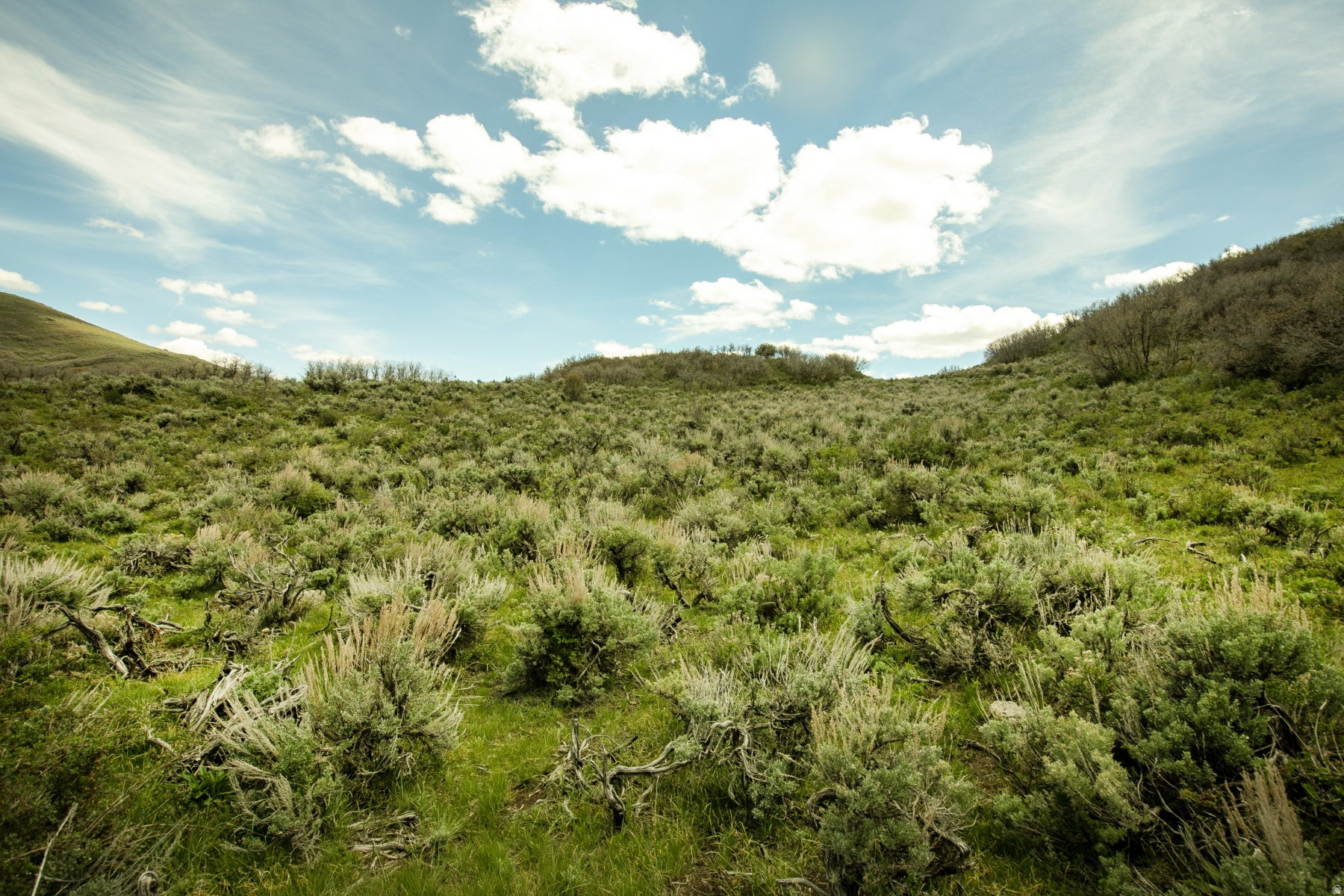 GARFF RANCHES - Land