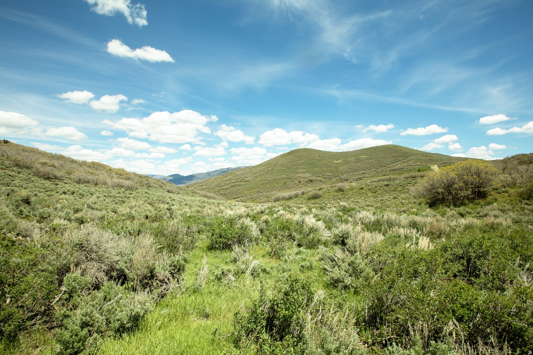 GARFF RANCHES - Land