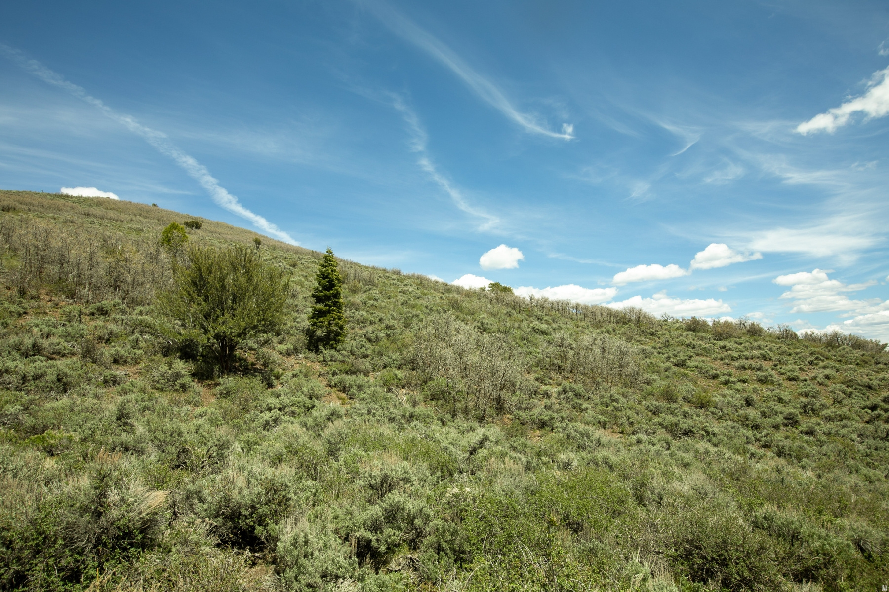 GARFF RANCHES - Land