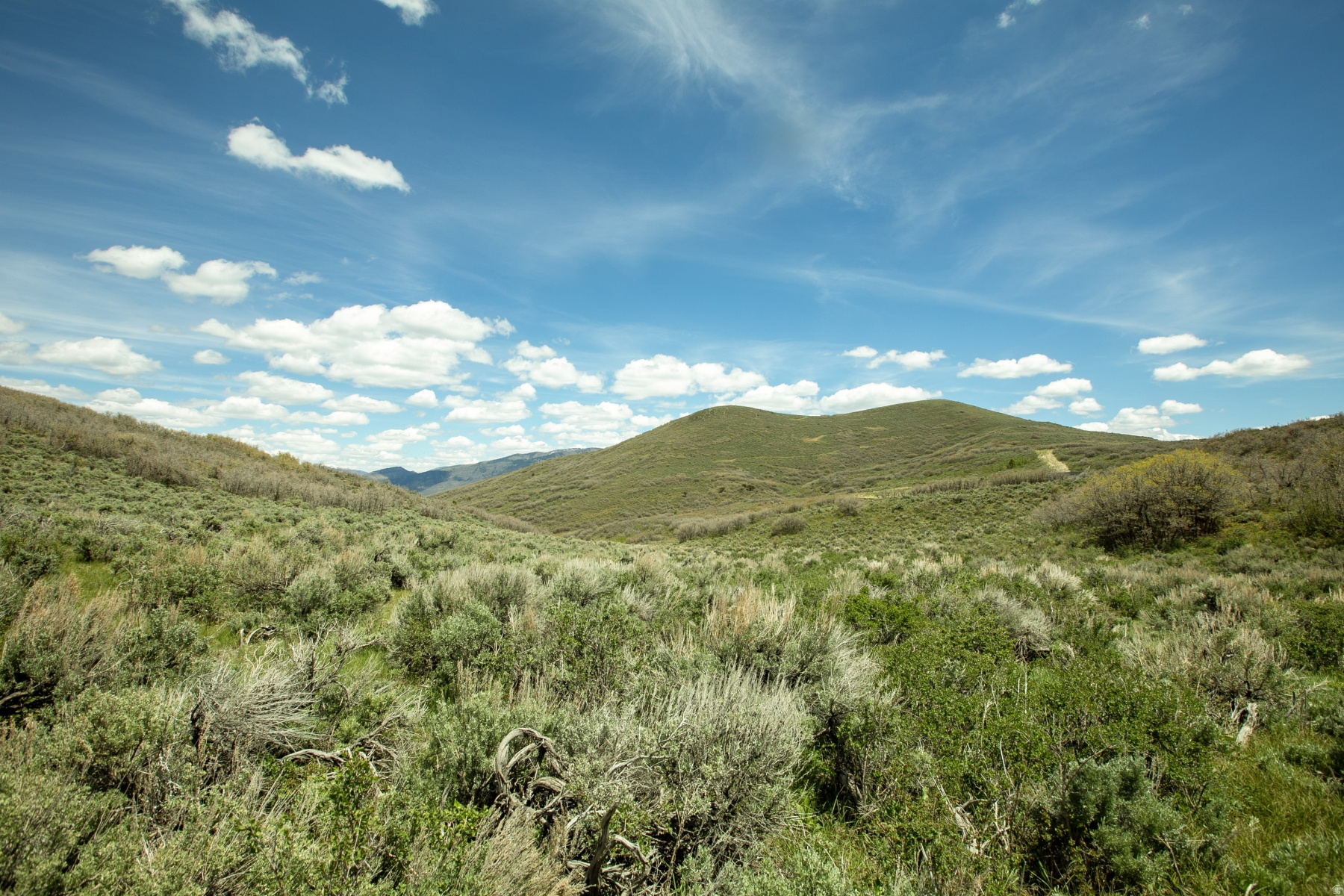 GARFF RANCHES - Land