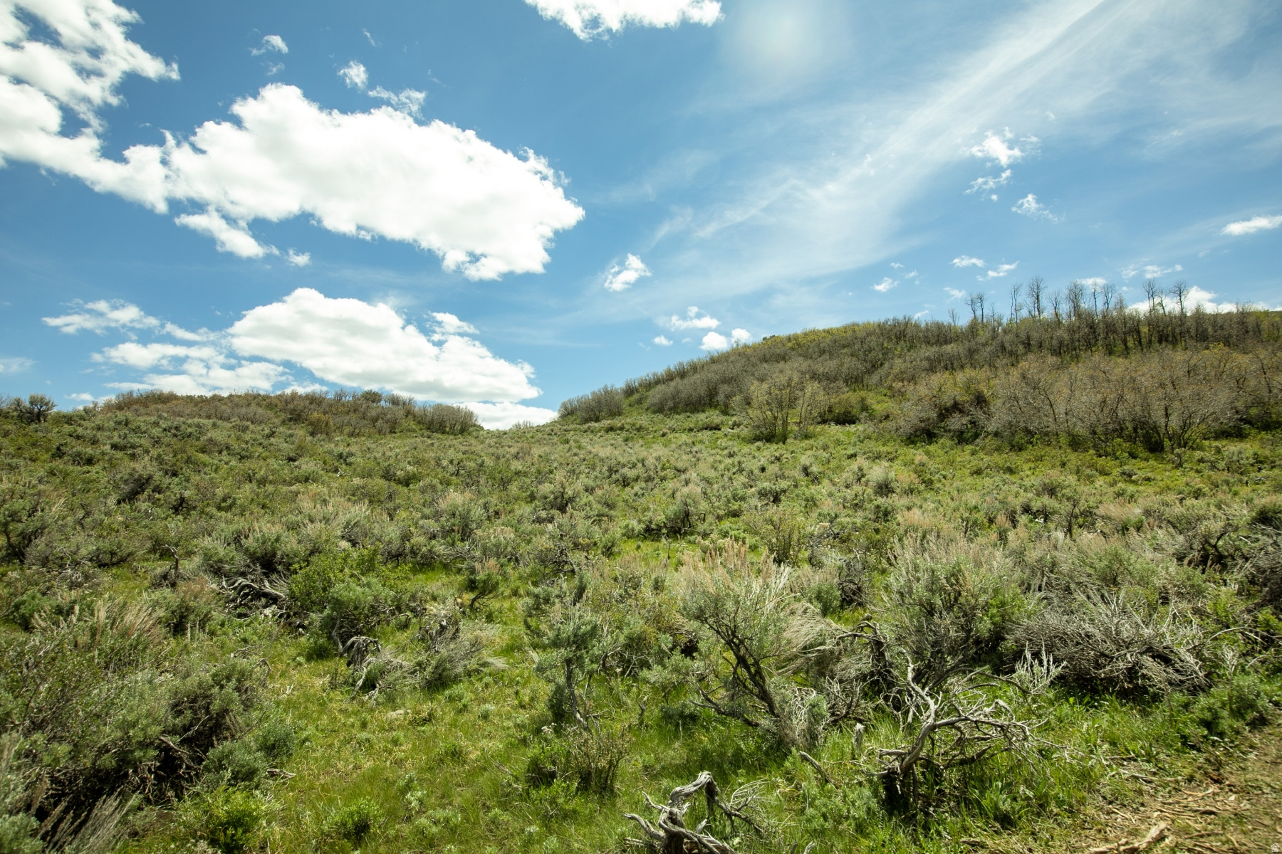 GARFF RANCHES - Land