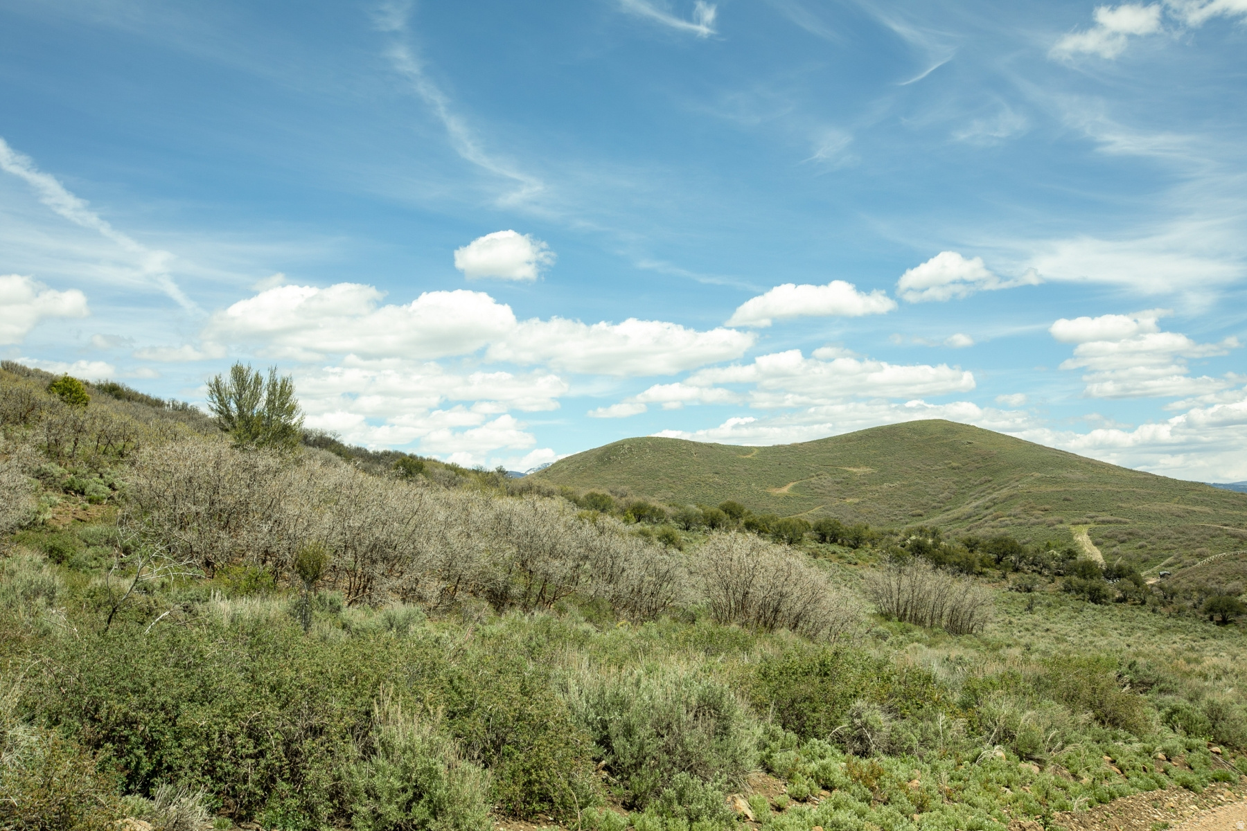 GARFF RANCHES - Land