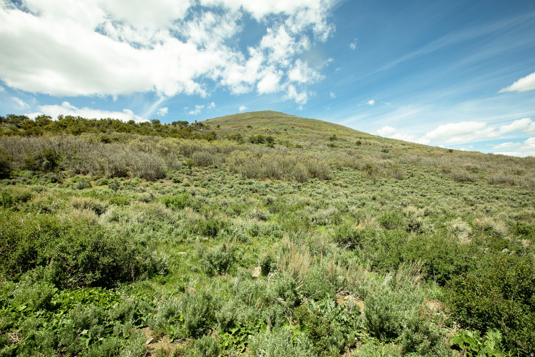 GARFF RANCHES - Land