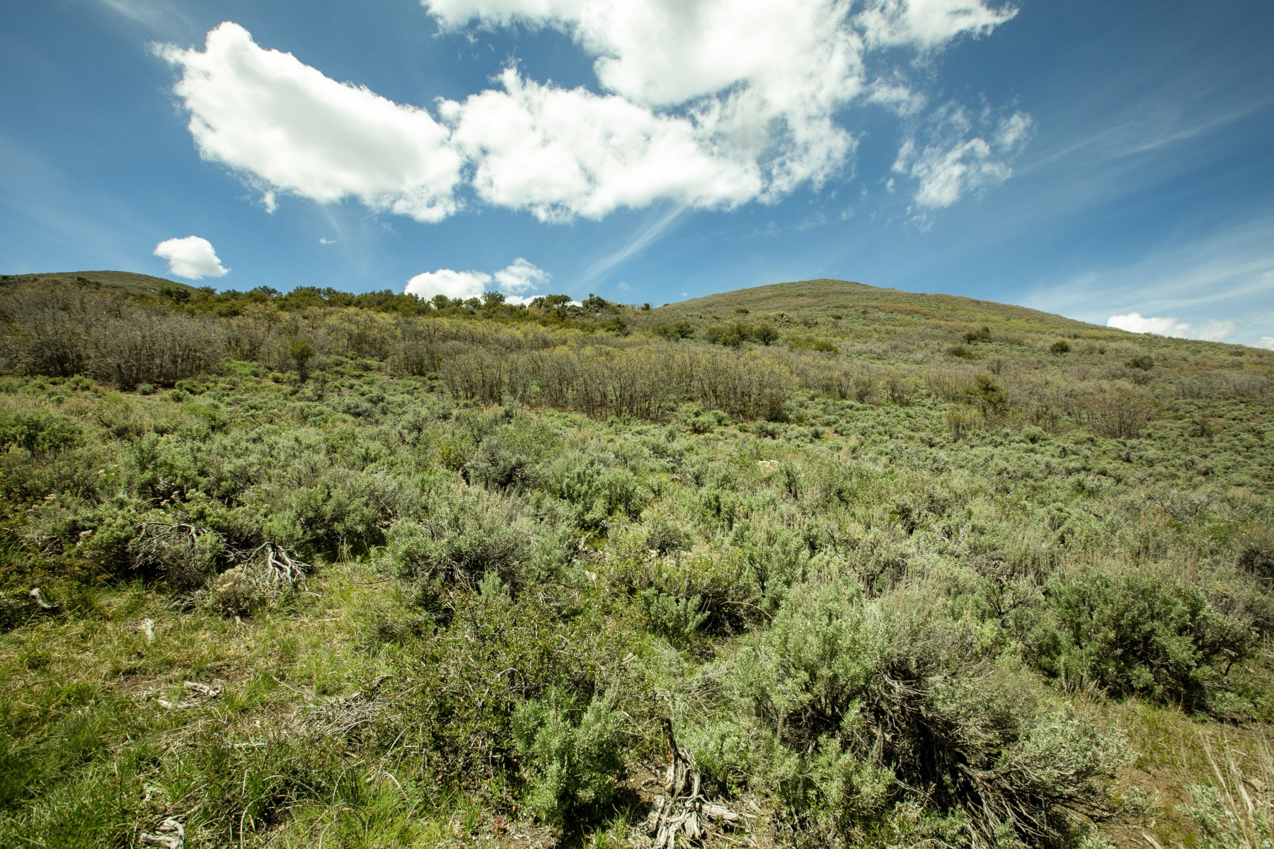 GARFF RANCHES - Land