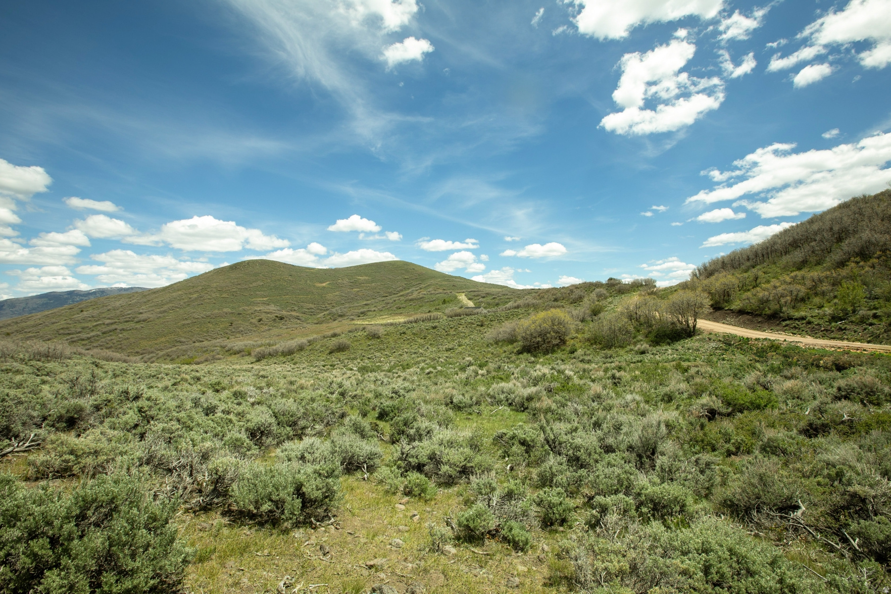 GARFF RANCHES - Land
