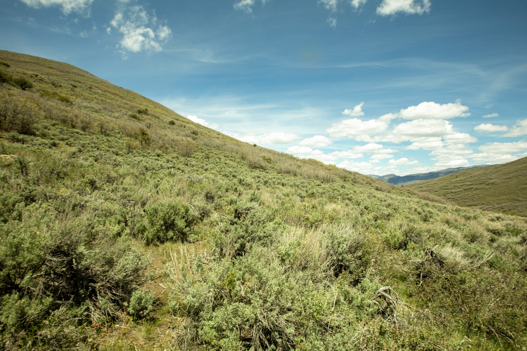 GARFF RANCHES - Land