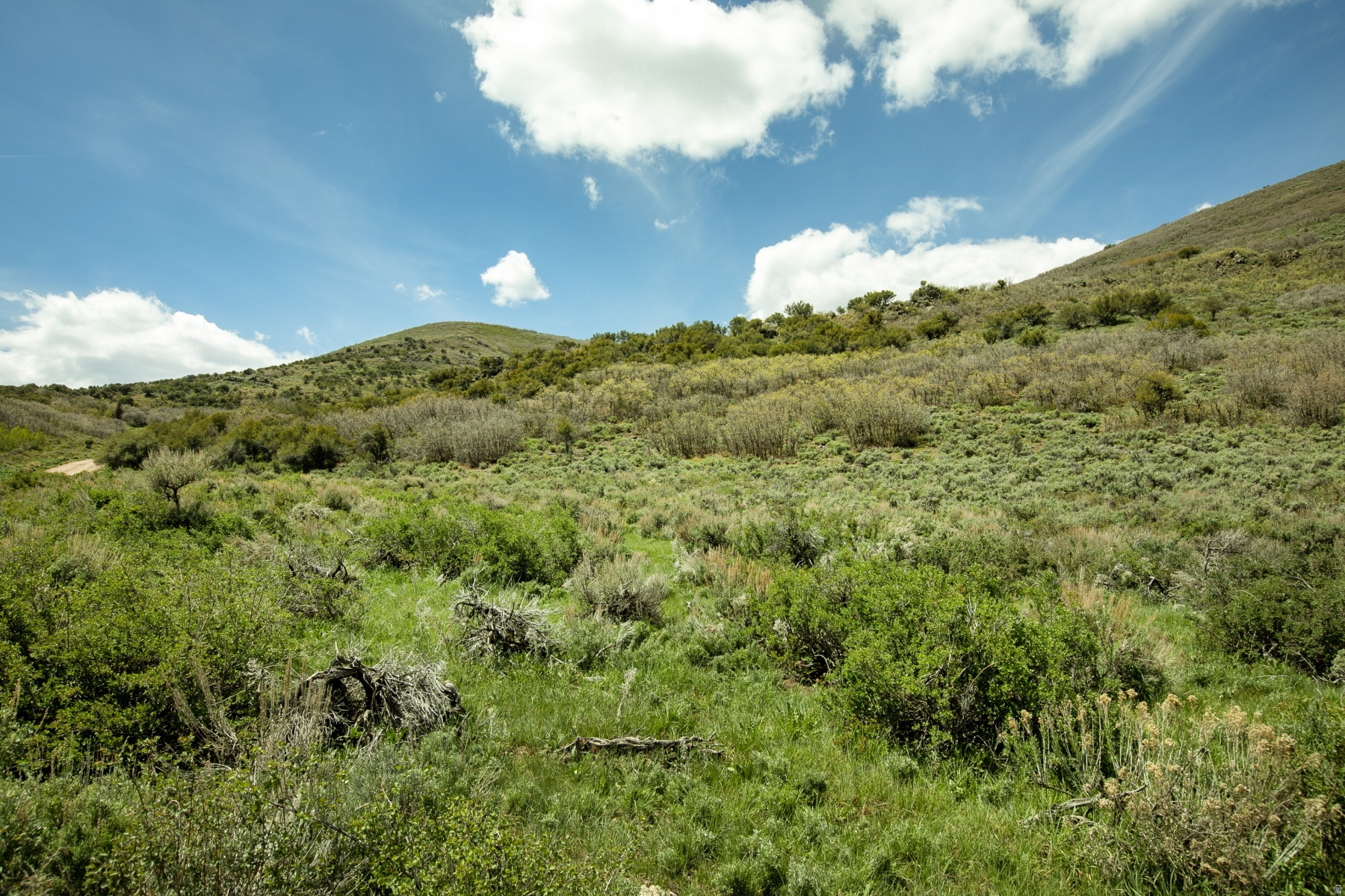 GARFF RANCHES - Land