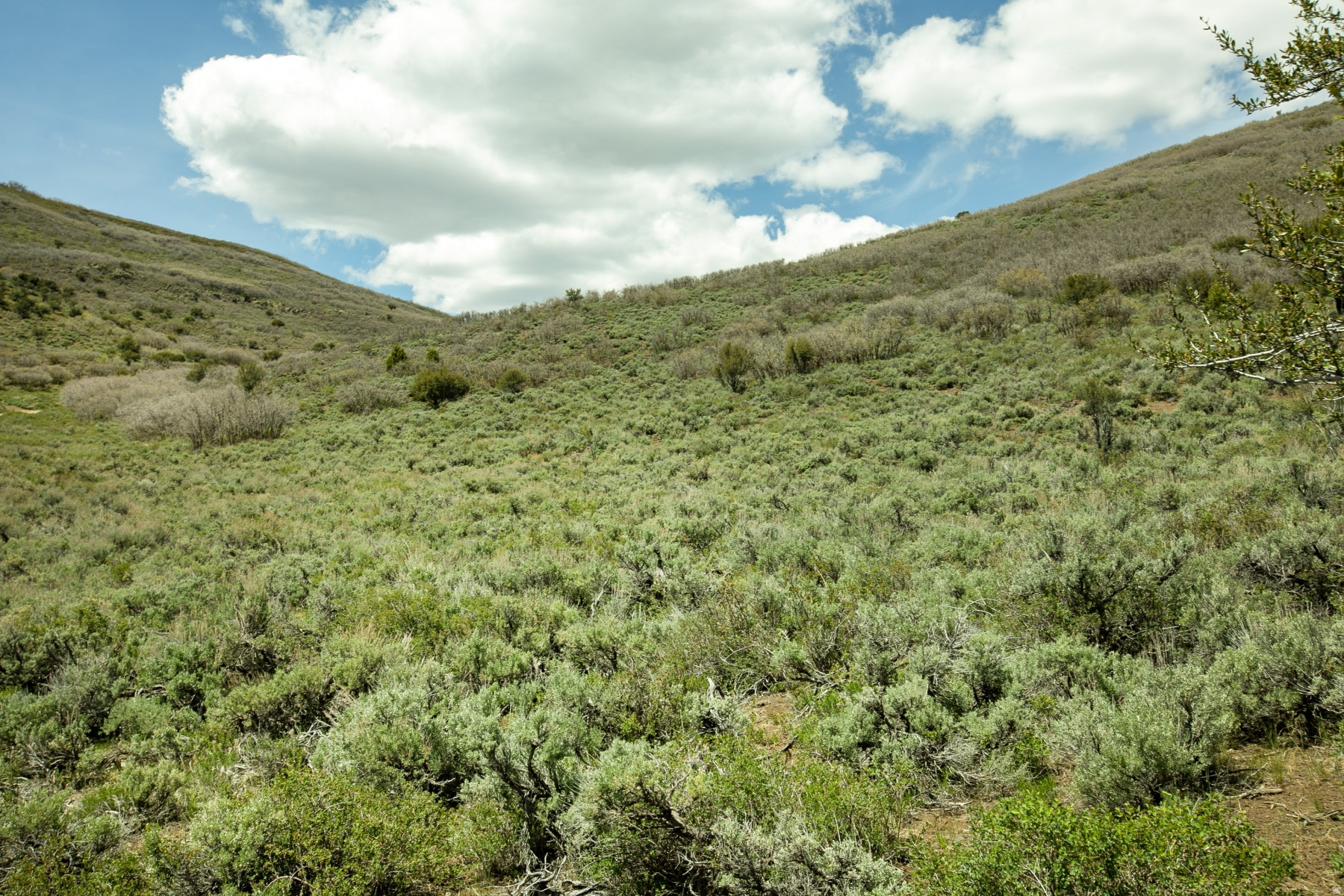 GARFF RANCHES - Land