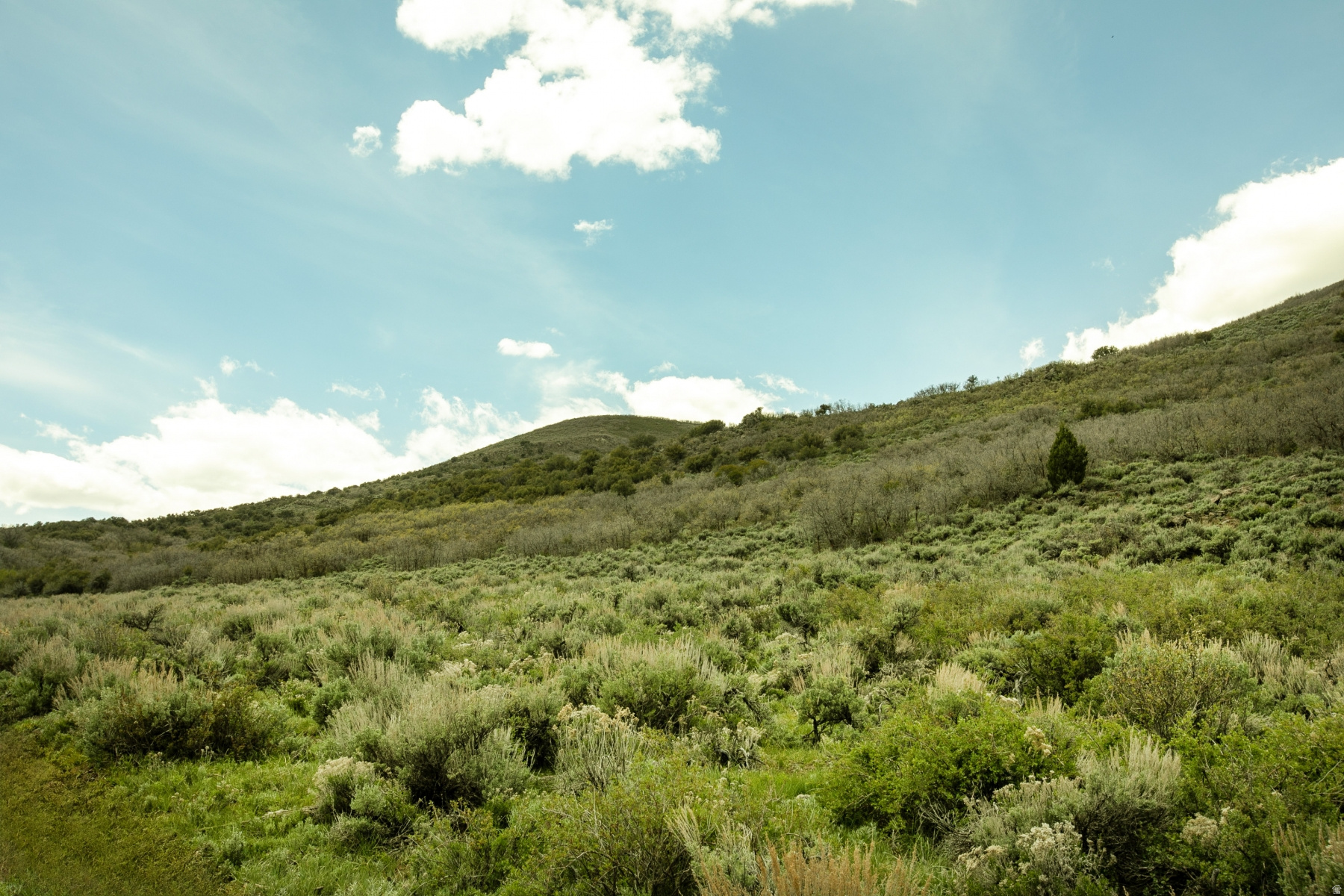 GARFF RANCHES - Land
