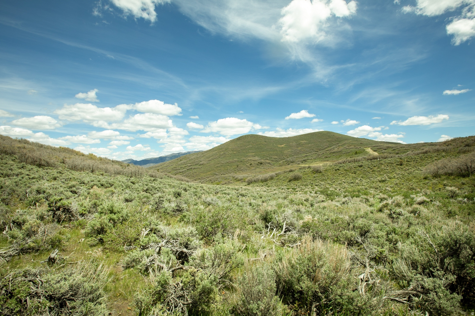 GARFF RANCHES - Land