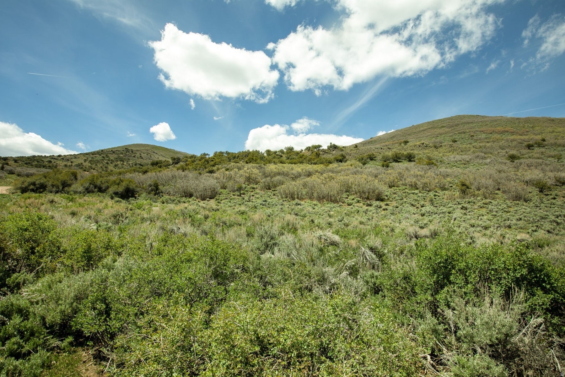 GARFF RANCHES - Land