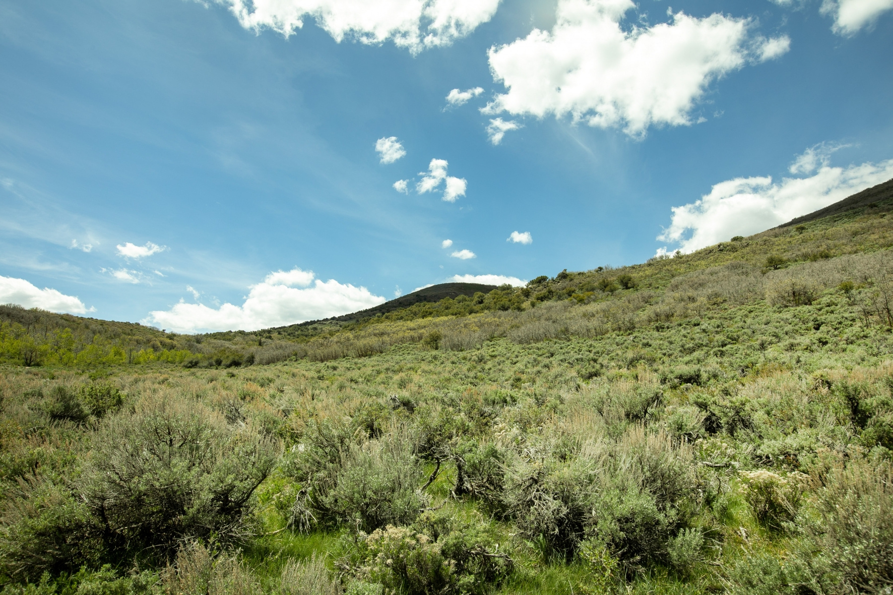 GARFF RANCHES - Land