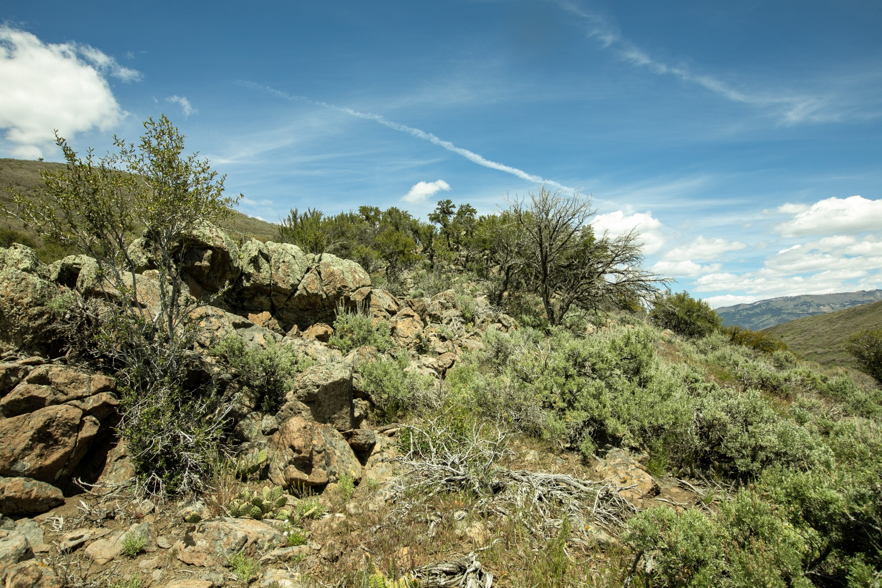 GARFF RANCHES - Land