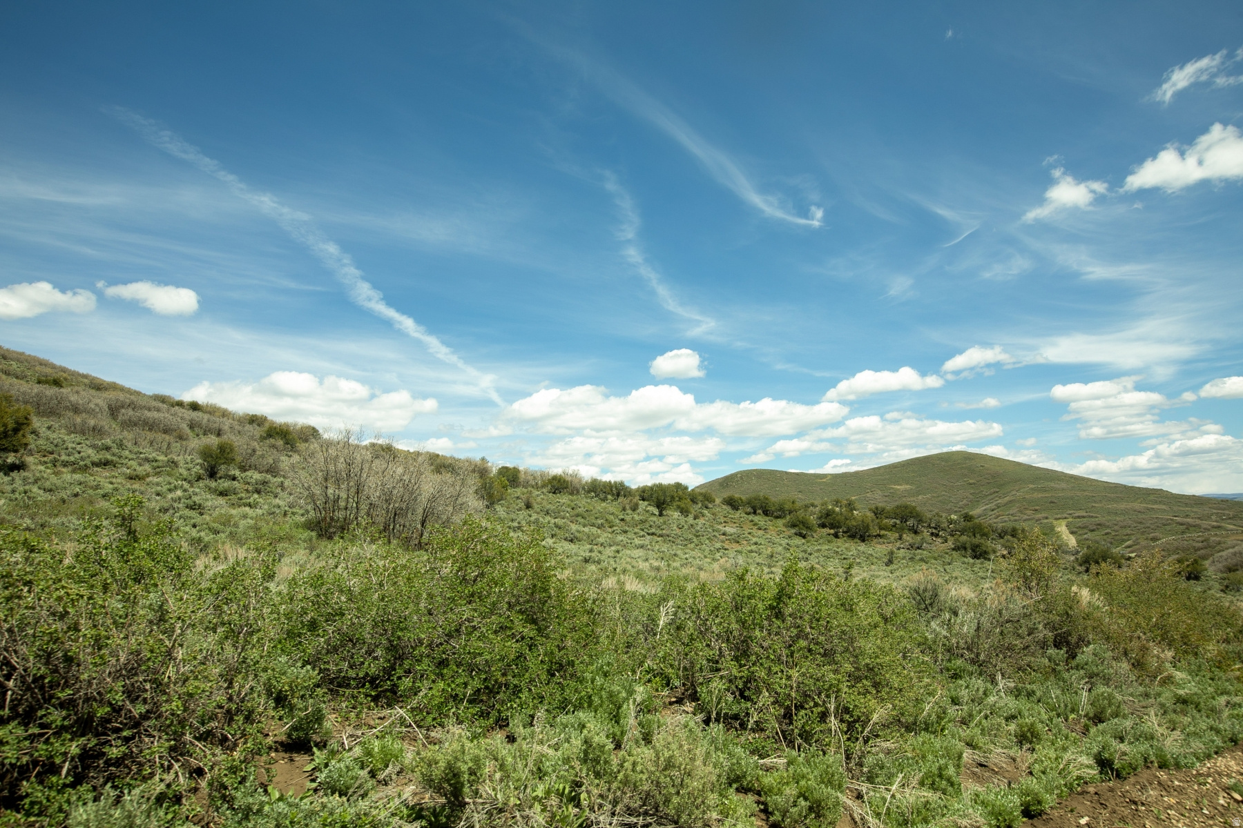 GARFF RANCHES - Land