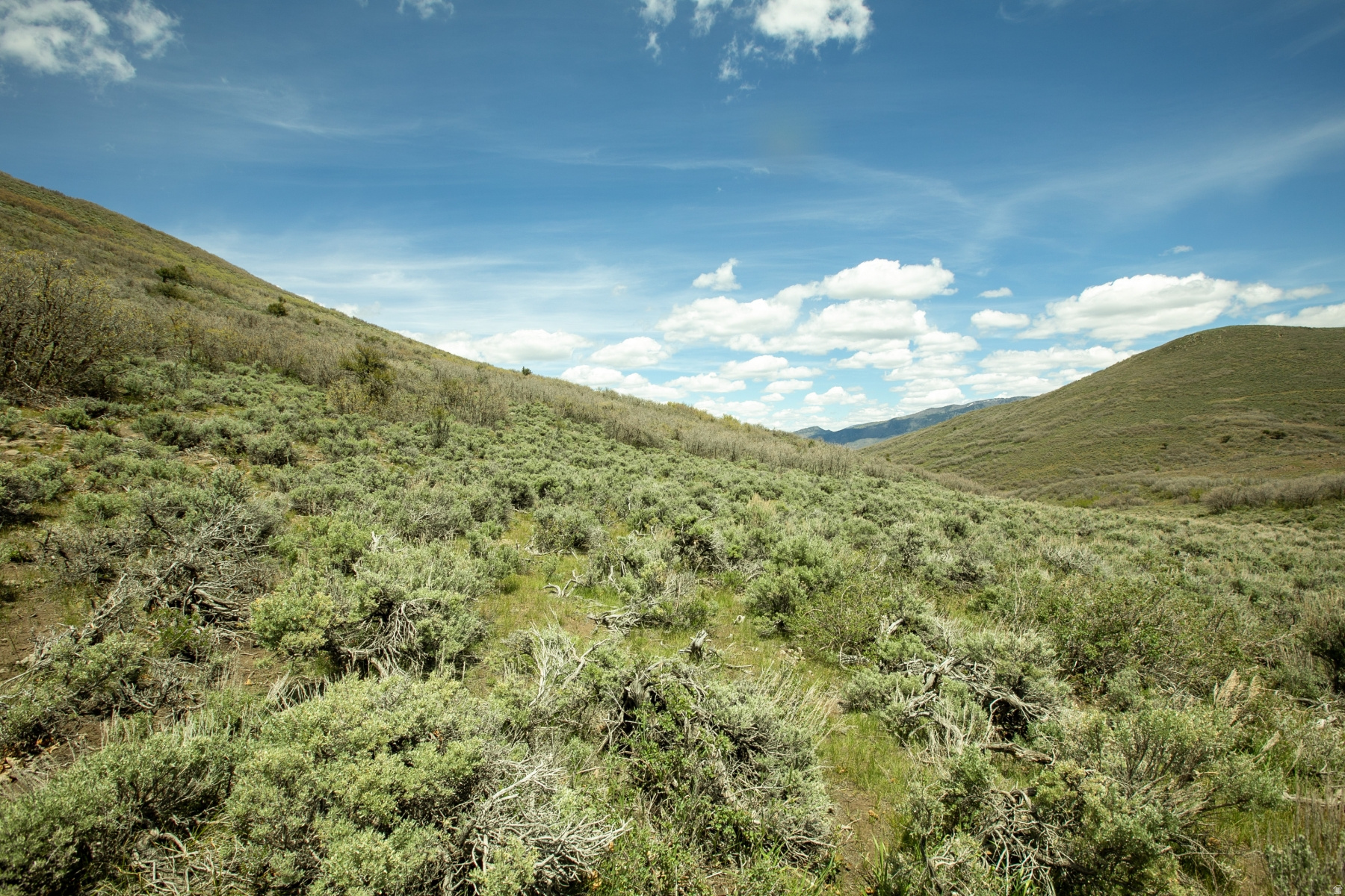 GARFF RANCHES - Land