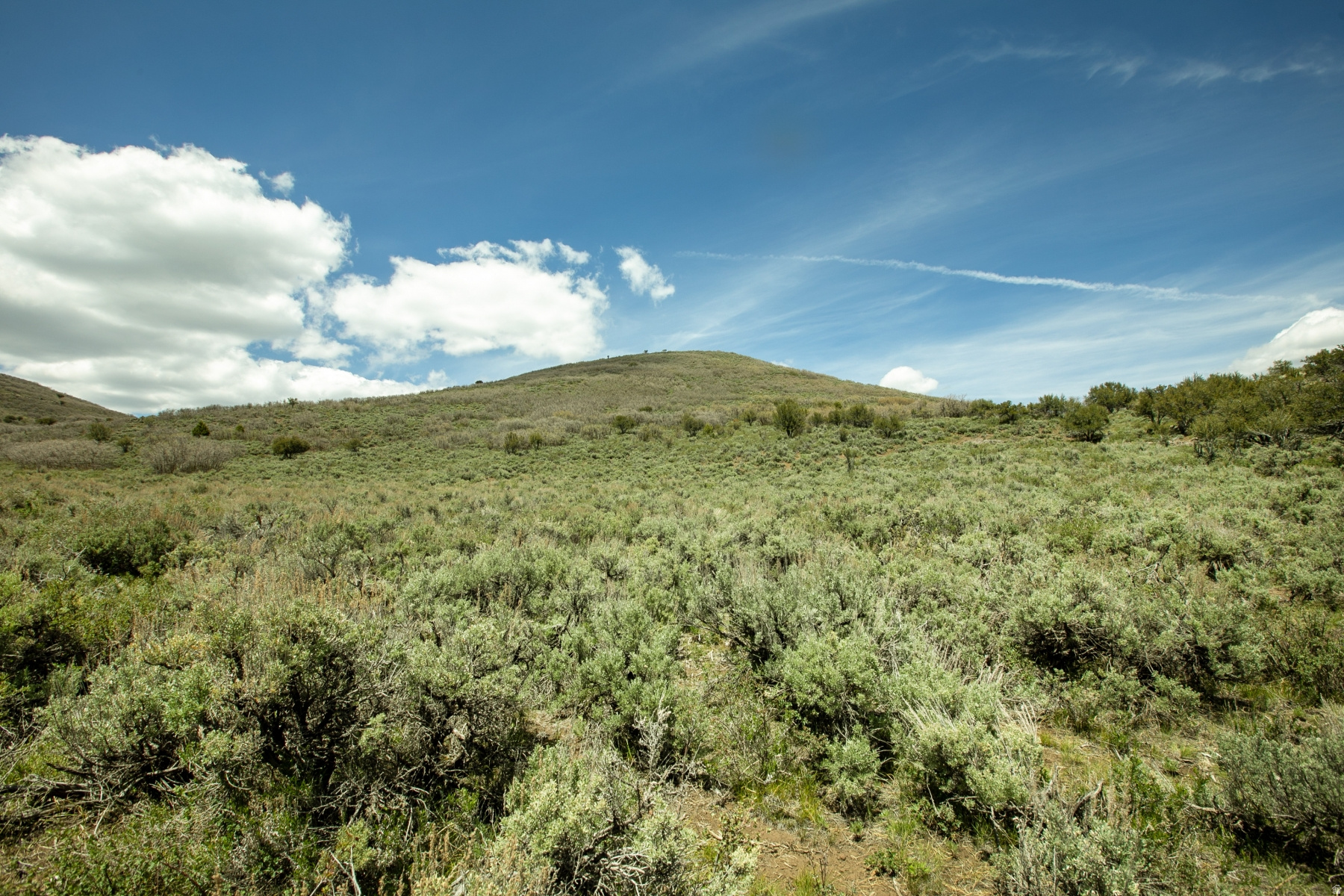 GARFF RANCHES - Land