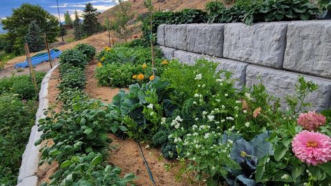 Tiny photo for 899 E 1190 N, Pleasant Grove, UT 84062 (MLS # 2137384)