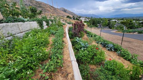 Tiny photo for 899 E 1190 N, Pleasant Grove, UT 84062 (MLS # 2137384)