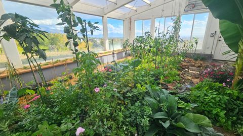 Tiny photo for 899 E 1190 N, Pleasant Grove, UT 84062 (MLS # 2137384)