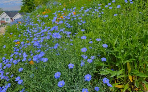 Tiny photo for 899 E 1190 N, Pleasant Grove, UT 84062 (MLS # 2137384)