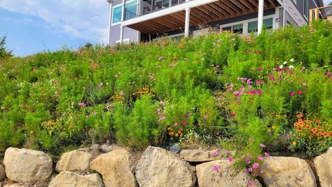 Tiny photo for 899 E 1190 N, Pleasant Grove, UT 84062 (MLS # 2137384)