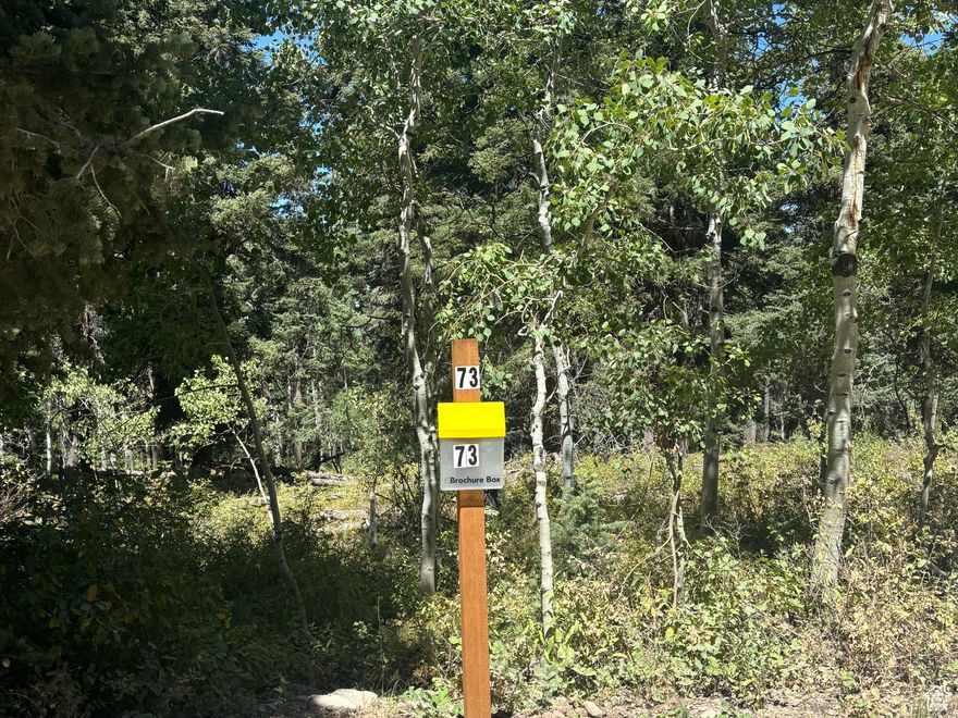 Best price for one of the Best lots in the community!   Build your dream mountain escape on this private, wooded lot in the upper Timberlakes Estates. Surrounded by towering pines and quaking aspens, this gently sloped property is perfect for a walkout basement and offers beautiful views off the back. Enjoy peace and privacy while being steps from snowmobile trails and minutes to world-class skiing, hiking, and outdoor adventure. Park City and Heber City are just a short drive away for dining, shopping, and entertainment.  Lot 73   Perc test was done in 2005 and septic is possible.