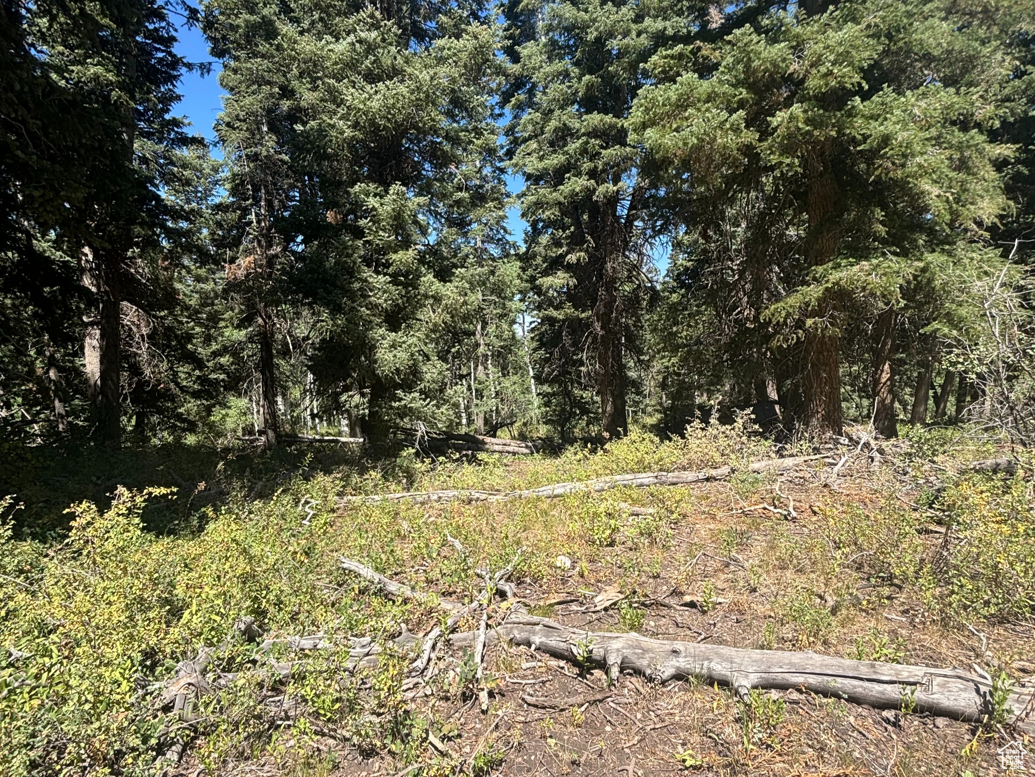 TIMBER LAKES - Land