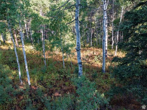 Tiny photo for 11273 E ASPEN RD #73, Heber City, UT 84032 (MLS # 2104729)