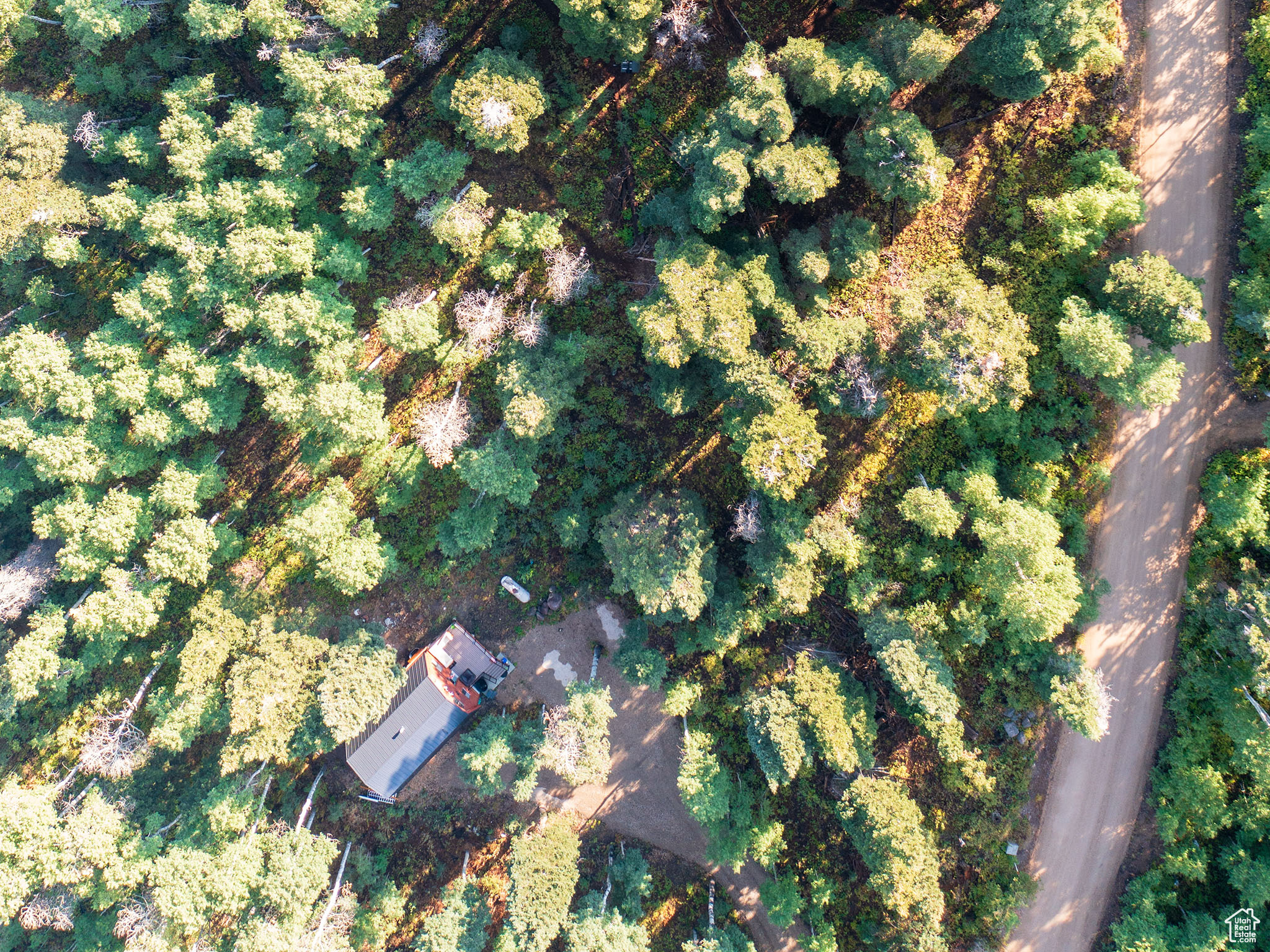 TIMBER LAKES - Land
