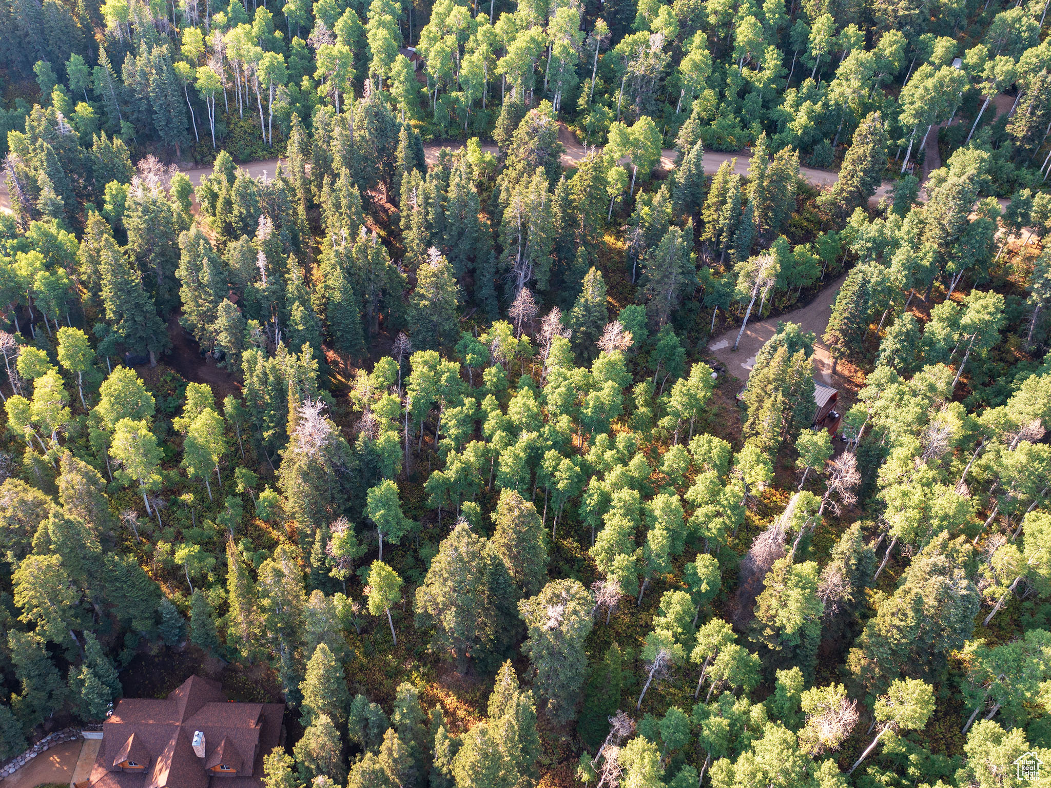 TIMBER LAKES - Land