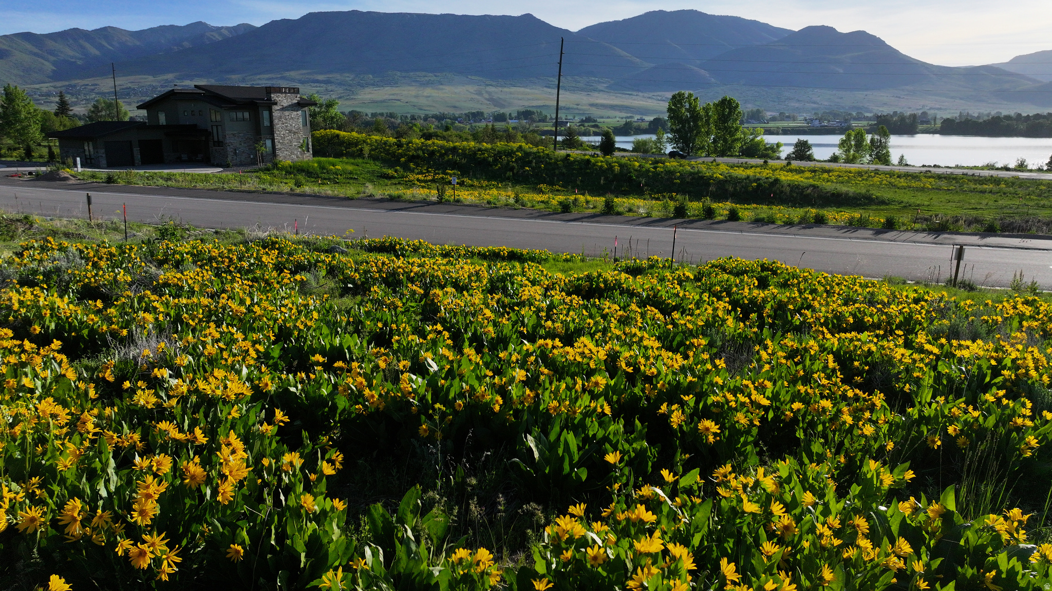 PINEVIEW OVERLOOK - Land