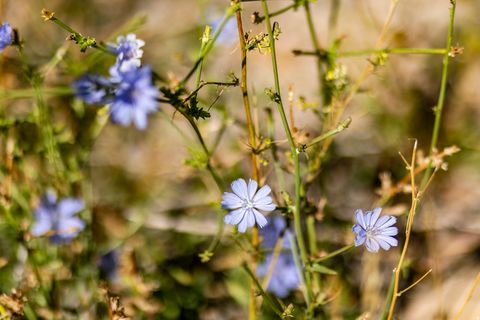 Tiny photo for 5855 E PIONEER RIDGE CIR #195, Salt Lake City, UT 84108 (MLS # 2130782)