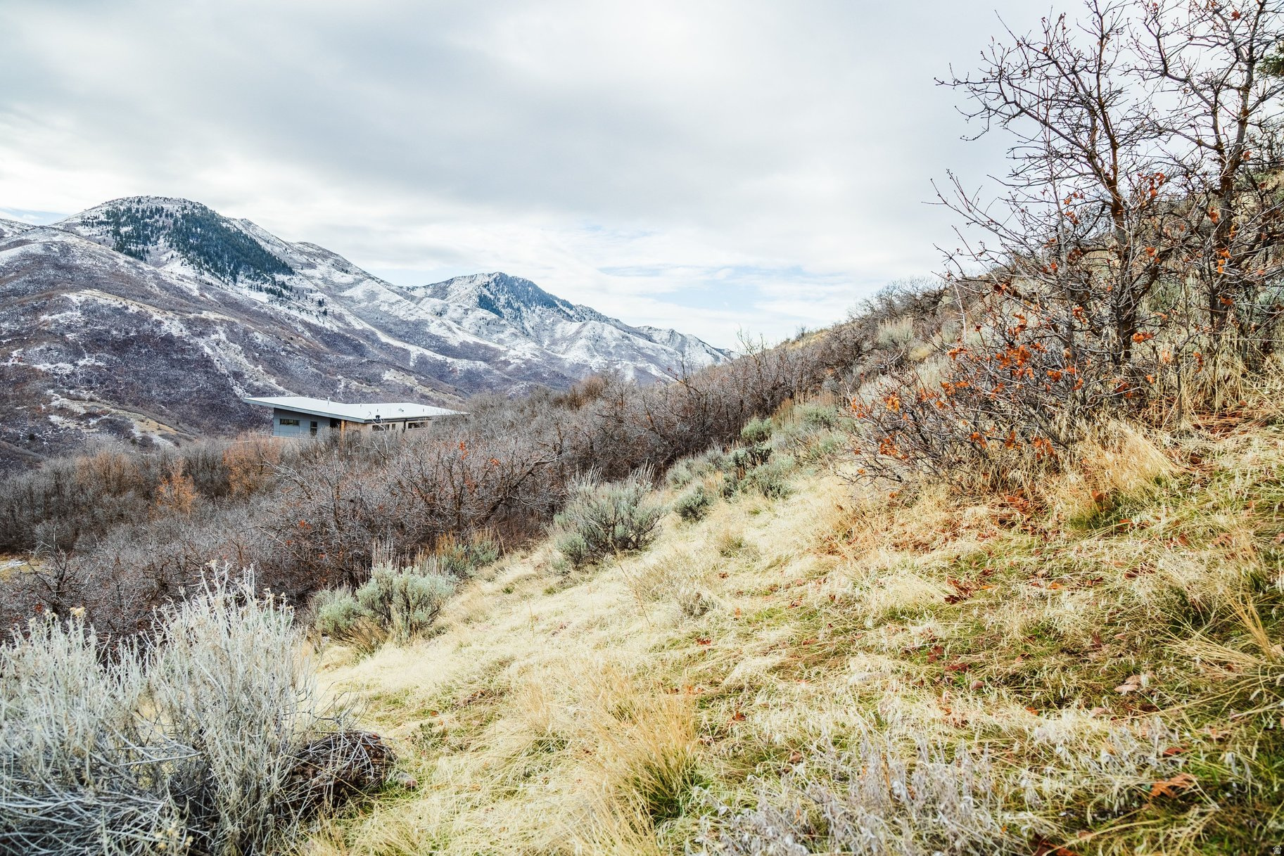 EMIGRATION OAKS - Land