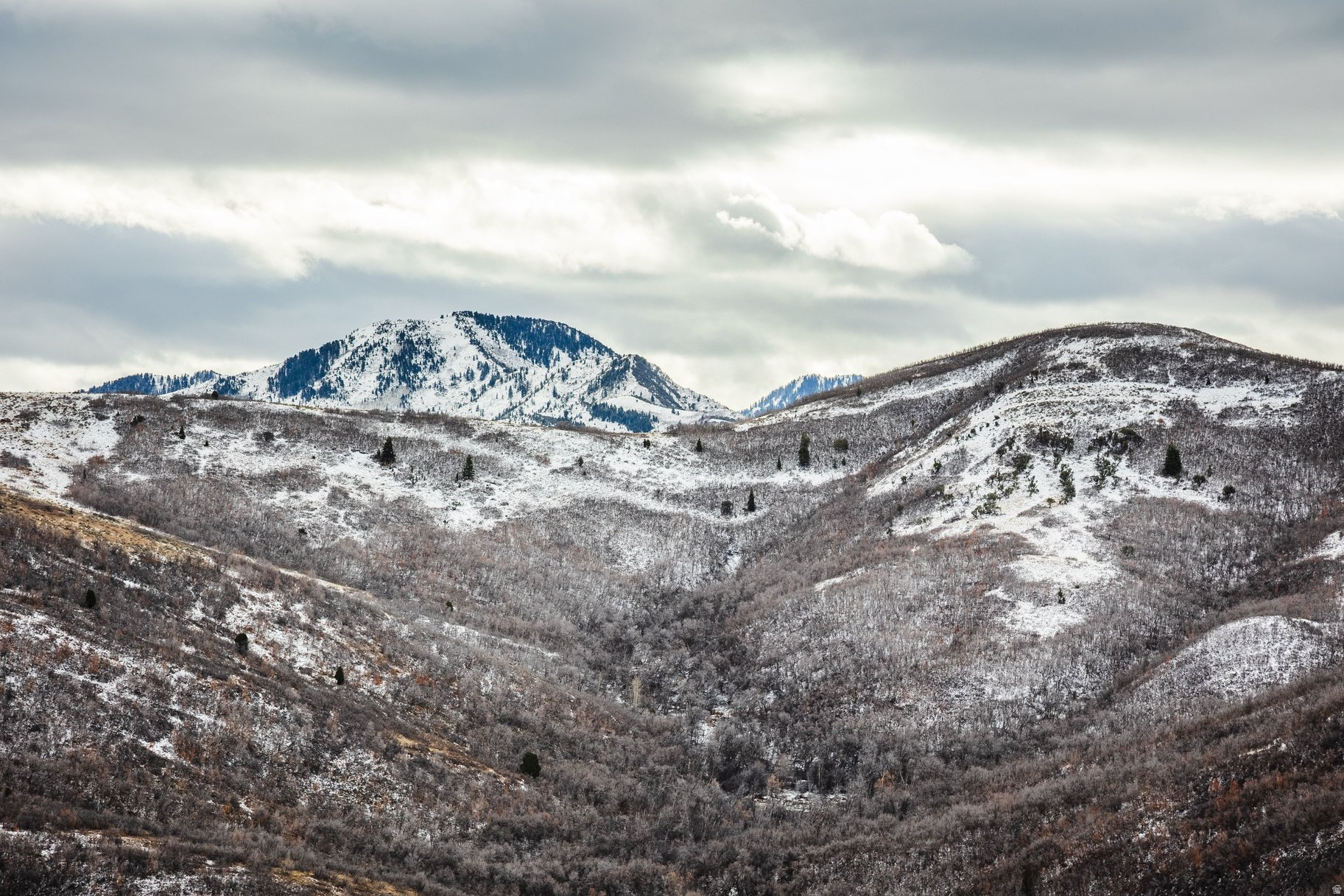EMIGRATION OAKS - Land