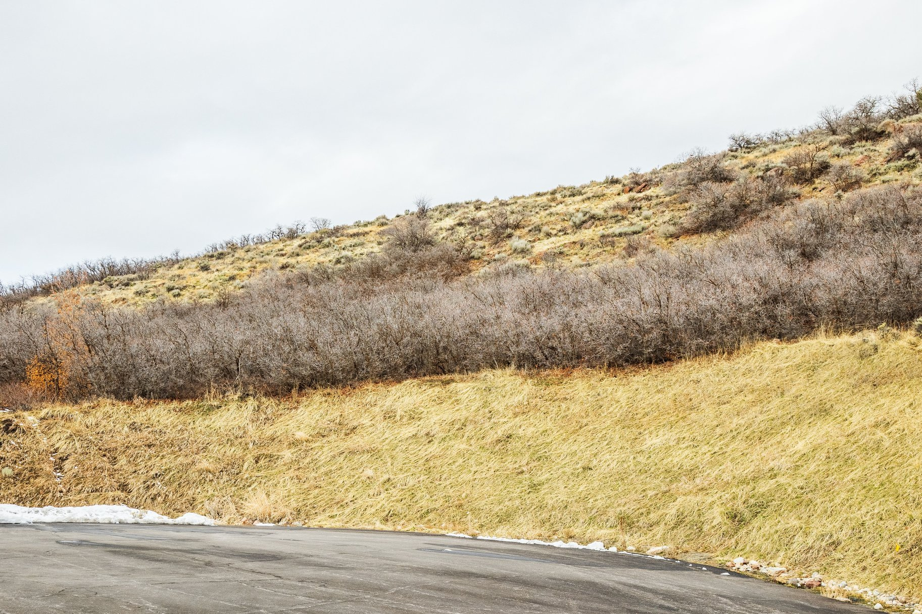 EMIGRATION OAKS - Land