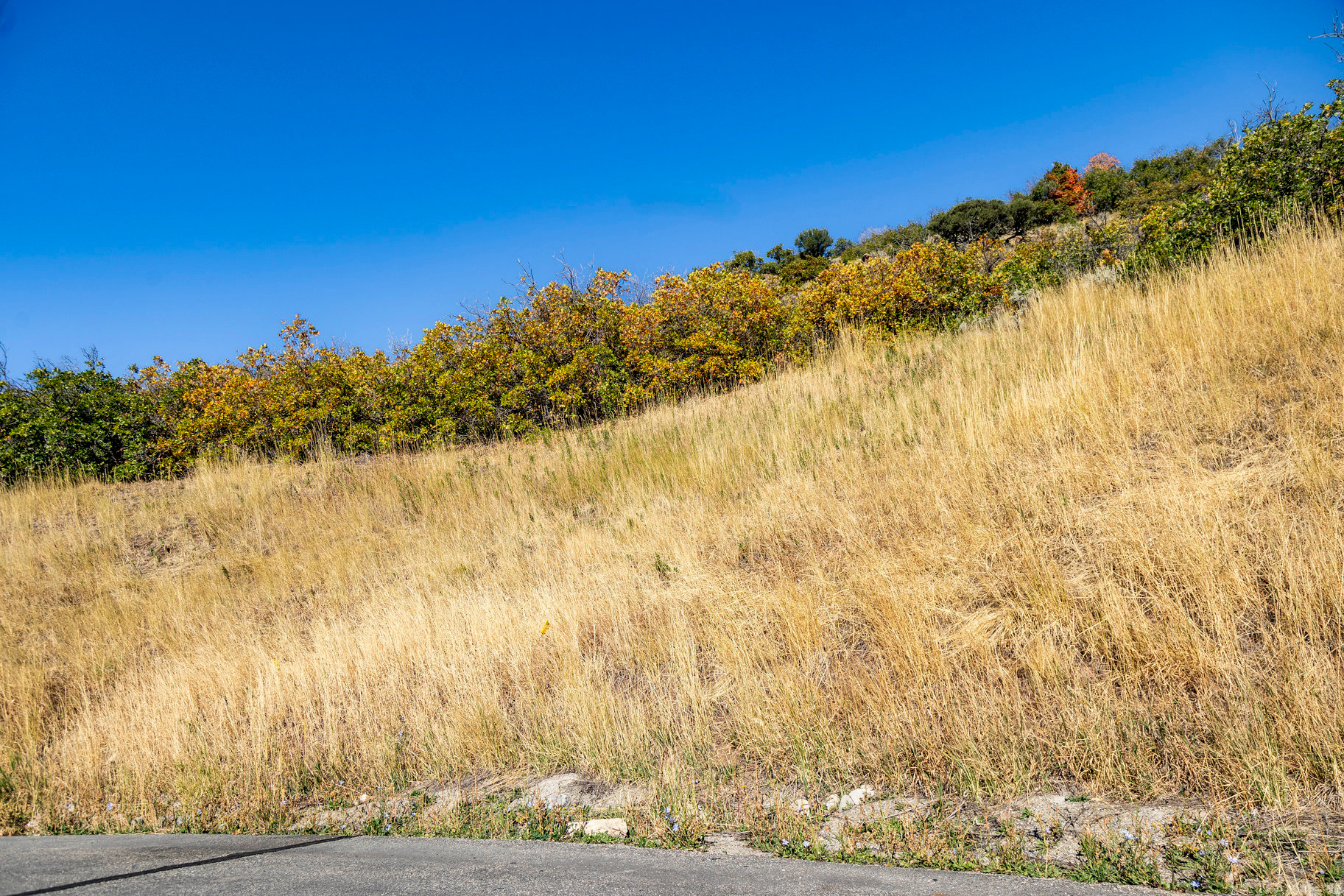 EMIGRATION OAKS - Land