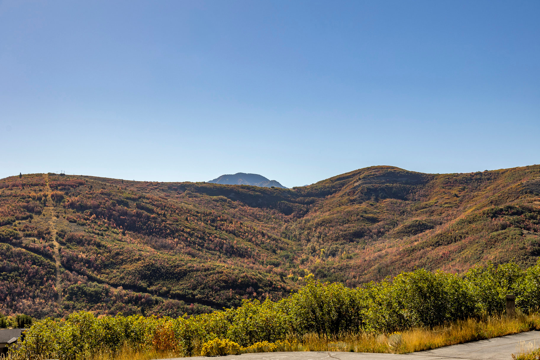 EMIGRATION OAKS - Land