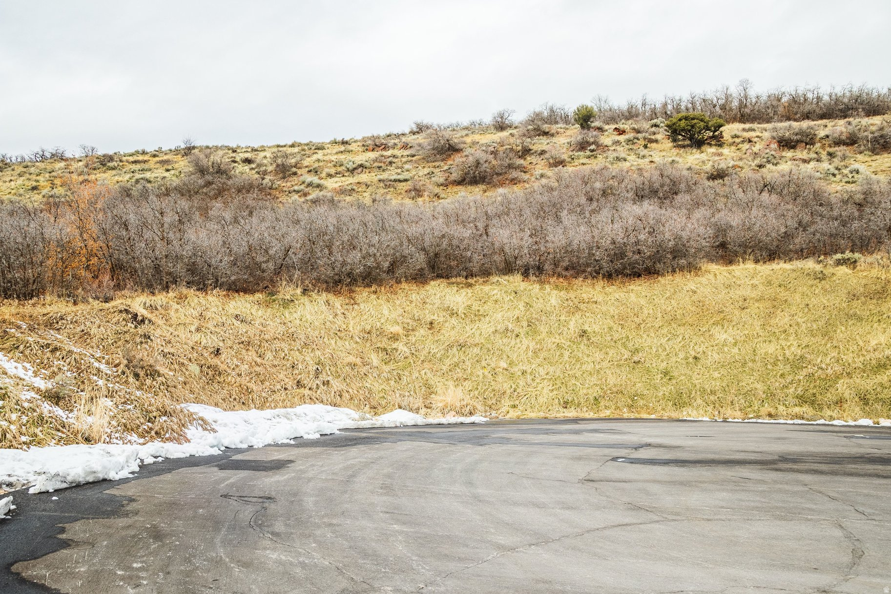 EMIGRATION OAKS - Land