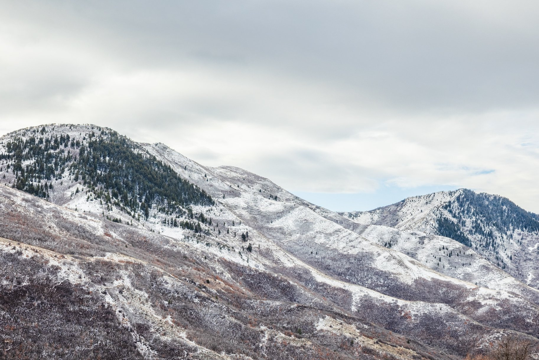 EMIGRATION OAKS - Land