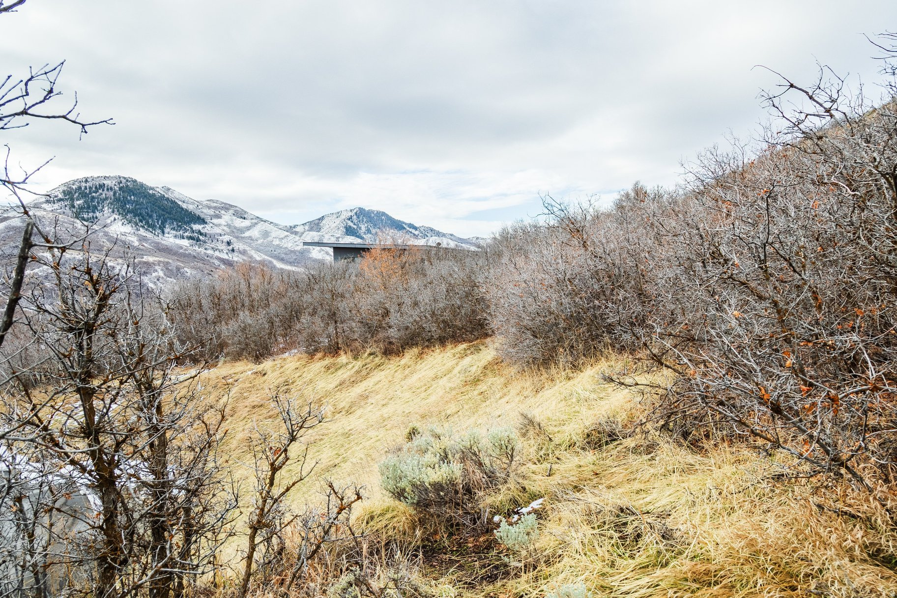 EMIGRATION OAKS - Land