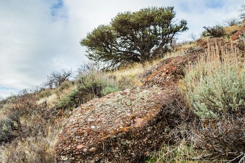 Tiny photo for 5855 E PIONEER RIDGE CIR #195, Salt Lake City, UT 84108 (MLS # 2130782)