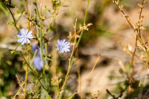 Tiny photo for 5855 E PIONEER RIDGE CIR #195, Salt Lake City, UT 84108 (MLS # 2130782)