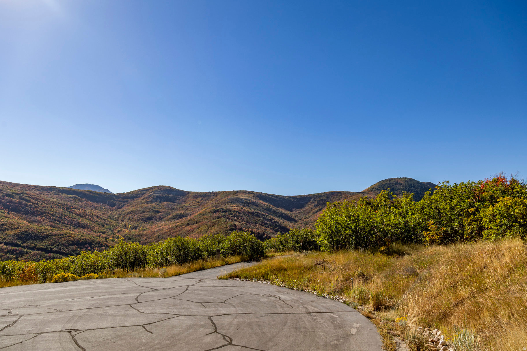EMIGRATION OAKS - Land