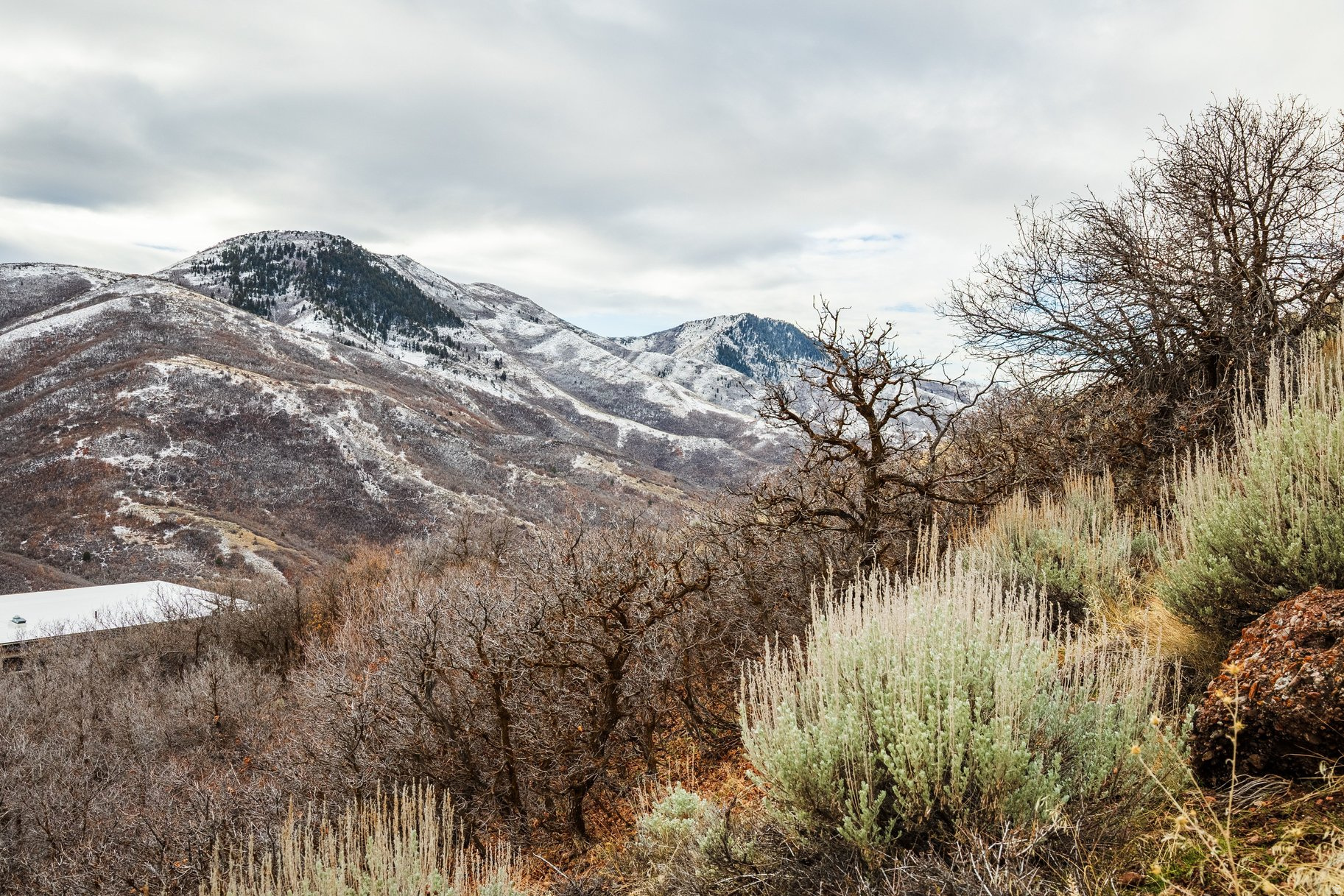 EMIGRATION OAKS - Land