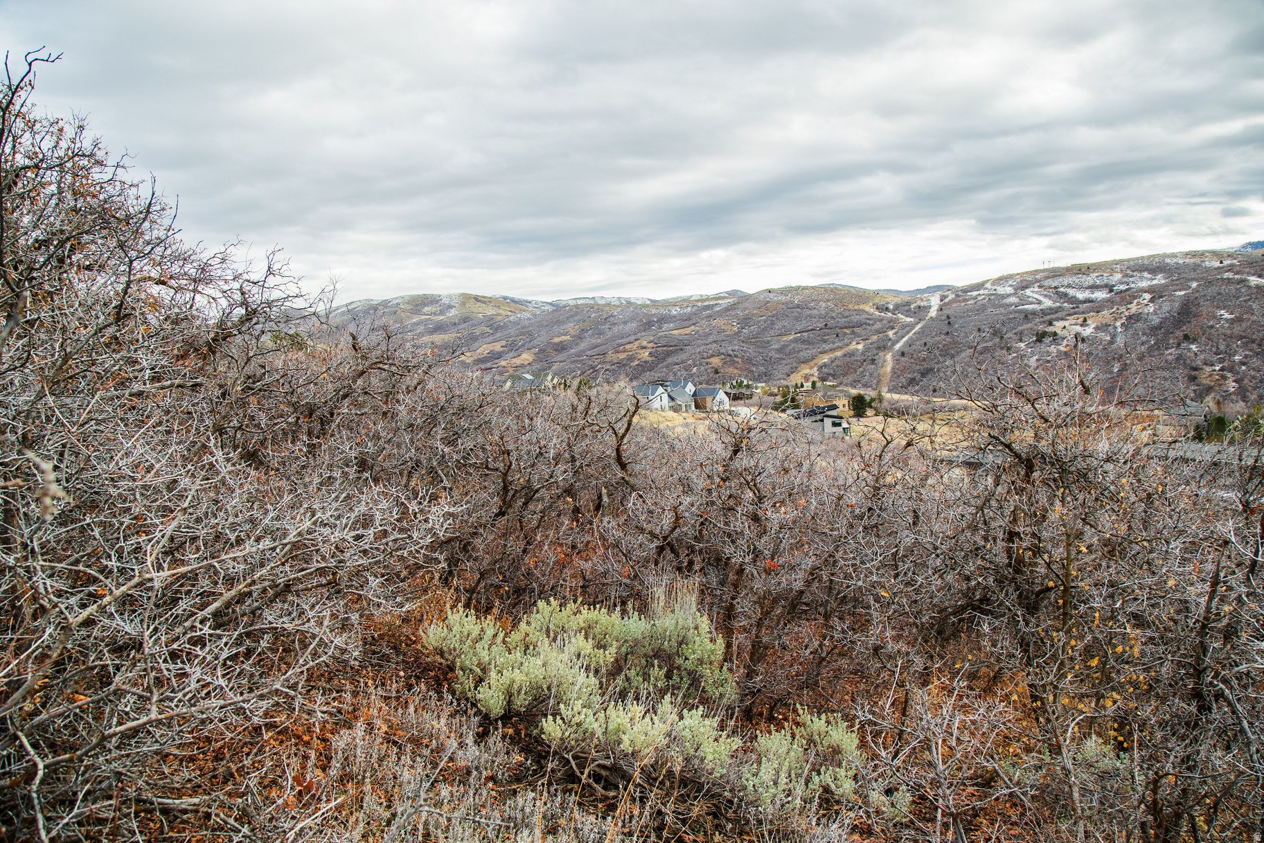 EMIGRATION OAKS - Land
