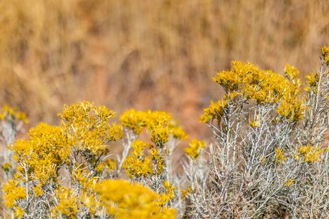 Tiny photo for 5855 E PIONEER RIDGE CIR #195, Salt Lake City, UT 84108 (MLS # 2130782)