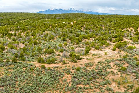 Tiny photo for #22, Monticello, UT 84535 (MLS # 2169859)