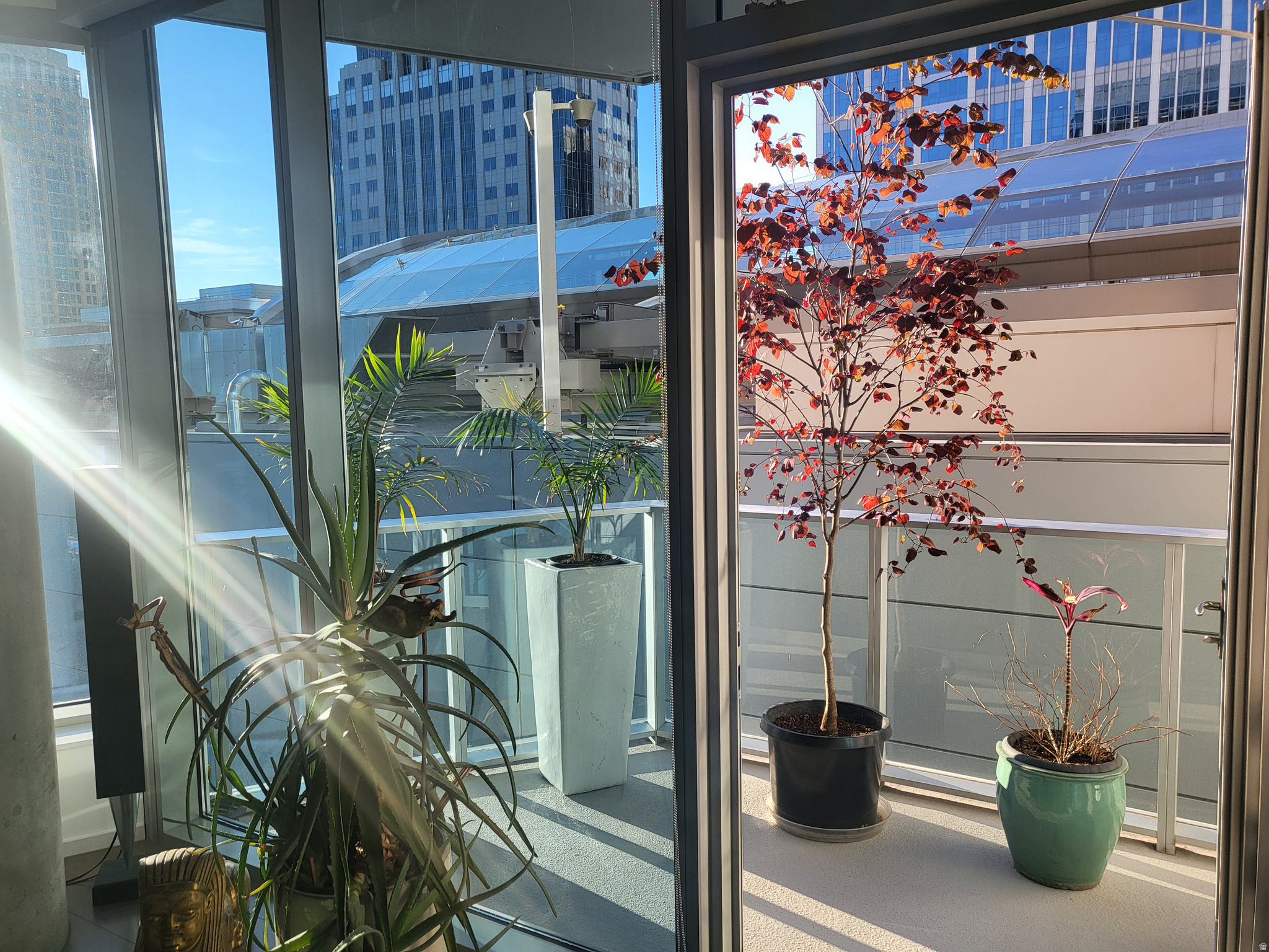 CITY CREEK - REGENT - Residential